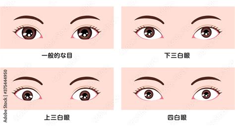 桃花眼 三白眼|目の形の種類一覧！自分の目の形が分からない人向けの確認方法も